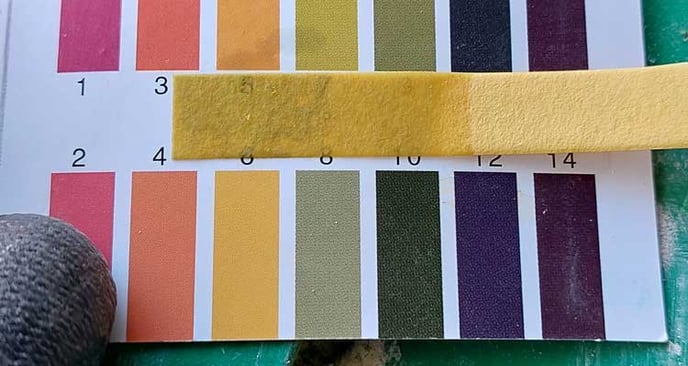 Litmus test shows pH neutral on concrete wash out water in sewer